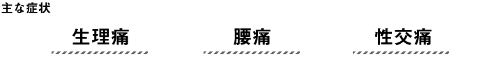 主な症状は「生理痛」「腰痛」「性交痛」